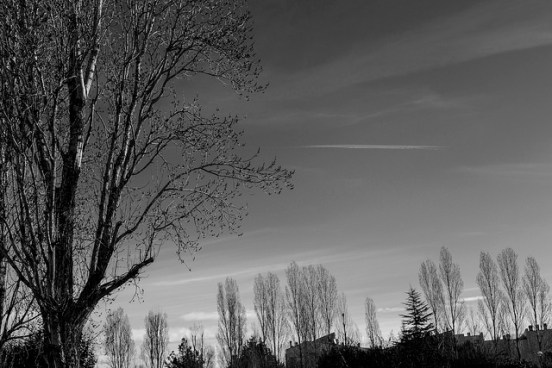 33210628316_724f01bb13_z