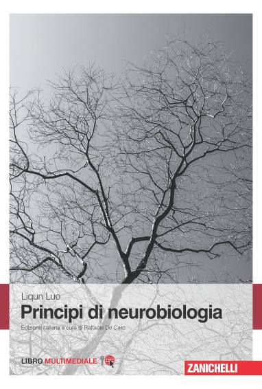 22538602_10156710819129745_3960740732349186313_o