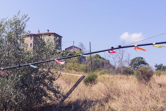 44181129721_51c514bd0c_z