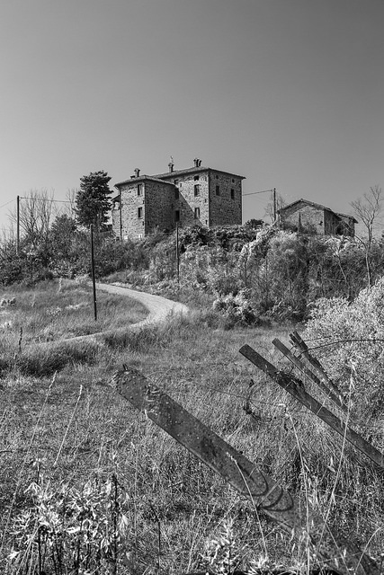 44181132781_171958c80a_z