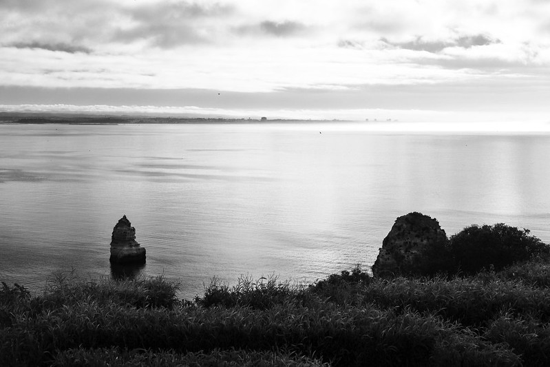 48593218871_d36e95e37d_c