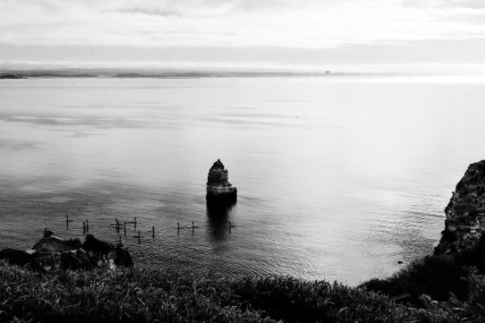 48593386617_6315f9f9e5_c