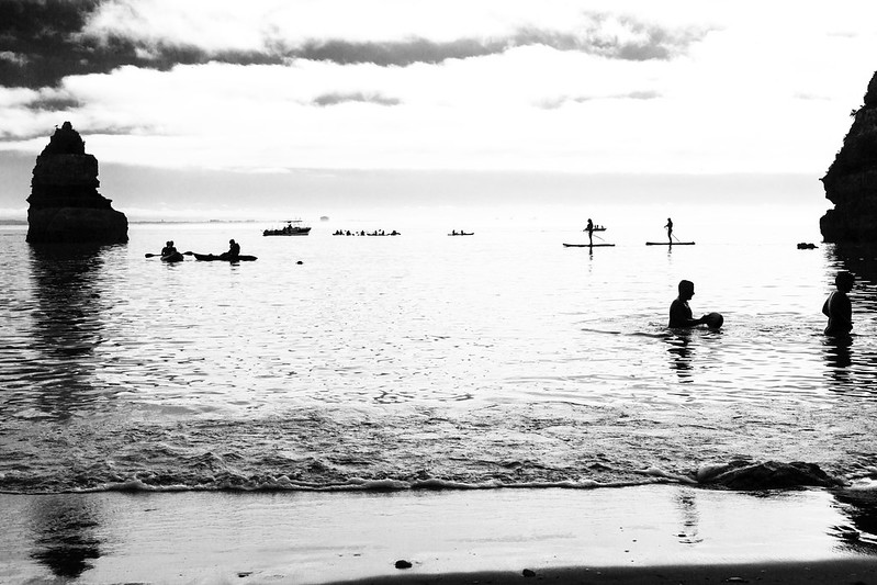 48594390887_706c8130bc_c