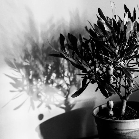 48847917712_4829a19e64_c